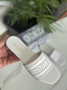 Slipper Christian Dior-grey