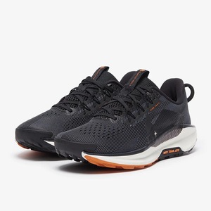 Nike Pegasus Trail 5 GORE-TEX - black