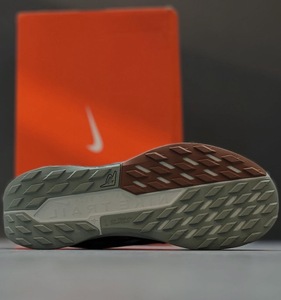 Nike Pegasus Trail 5 GORE-TEX - oil