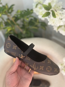 Louis Vuitton  -Brown