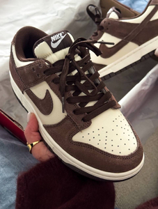Nike Dunk SB -brown