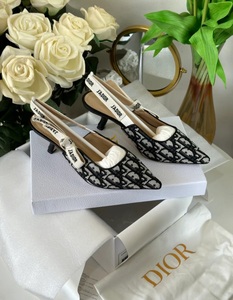 Dior low heel