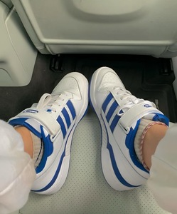 adidas Forum Low white blue